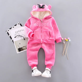 Toddler Girls 2pcs Hoodie Outfit