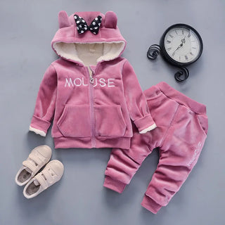 Toddler Girls 2pcs Hoodie Outfit
