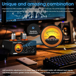 Home Audio Digital Tube Amplifier