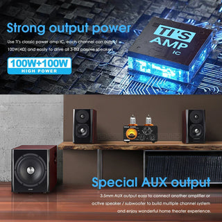 Home Audio Digital Tube Amplifier