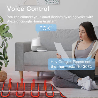 Smart Electric Voice Control Thermostat
