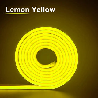 LED Neon Strip Light 6x12mm Flexible Rope Silicone Tube SMD 2835 Waterproof With 2Pin Wire 120LEDs/m For DIY Sign Home Decor