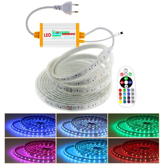 Waterproof RGB LED Strip Light EU 220V Remote Controller Changing Color Neon Ribbon Lamp 60leds/m Multicolor Garden Decoration