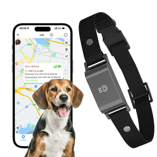 Pet GPS Tracker