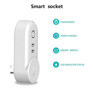 Voice Controlled Plugs