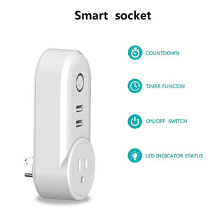 Voice Controlled Plugs