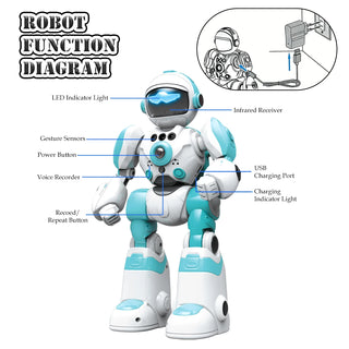 RC Intelligent Programable Gesture Robot Toy