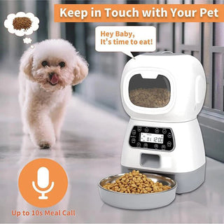 Automatic Smart Slow Feeder Dispenser - Epictzar Intl.
