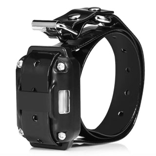 RC Electric Pet Dog Training Collar