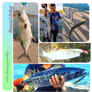 Saltwater Silent Wobbler Fishing Crankbait - Epictzar Intl.
