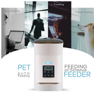 Automatic Smart Slow Feeder Dispenser - Epictzar Intl.