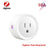 Zigbee 10A
