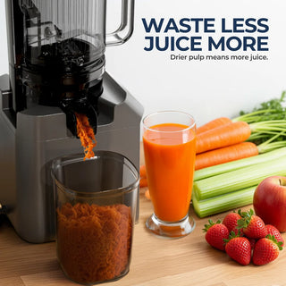 Slow Cold Press Filter-Free Juicer