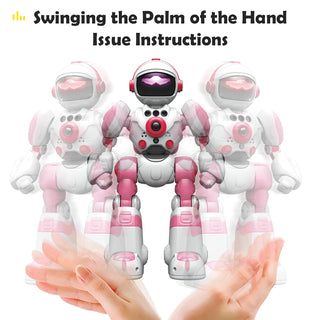 RC Intelligent Programable Gesture Robot Toy