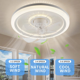 Modern App Controlled Ceiling Fan Lamp