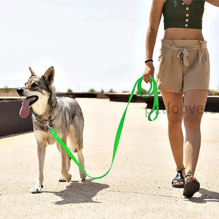 Long Easy To Clean PVC Pet Leash