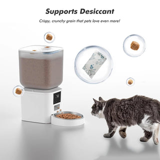 Automatic Large Capacity Pet Smart Feeder