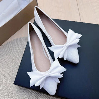 Ladies Pointed Toe Ballet Flat Shoes
