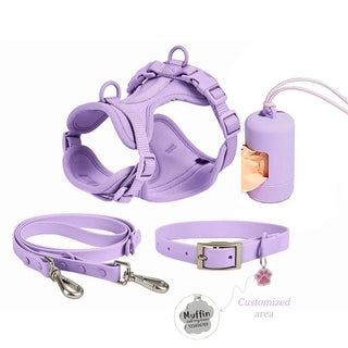 Personalized Pet Leash Pet Harness
