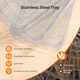 Powerful Drying 5 Trays Food Dehydrator