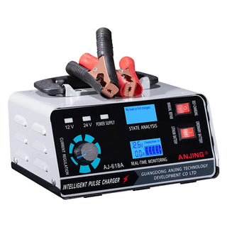 Smart Pulse Automotive Battery Charger