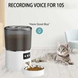 Smart Stainless Steel Bowl Pet Feeder