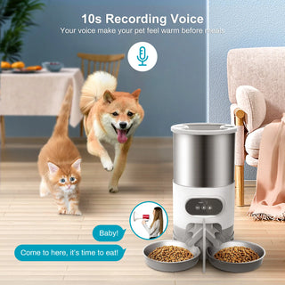 Smart Stainless Steel Automatic Pet Feeder