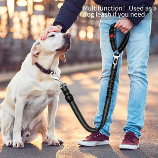Heavy-Duty Adjustable Pet Restraint System