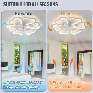 Modern Sleek Ceiling Fan LED Light