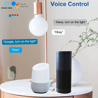 Voice Controlled Timer 16A Smart Plug
