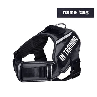 Adjustable Nylon Dog Harness Vest