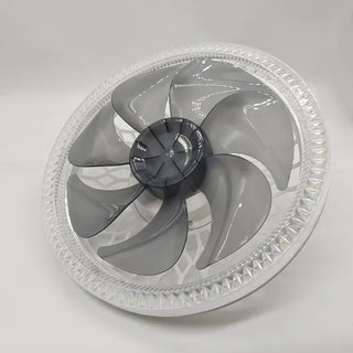 R C LED Light Modern Ceiling Fan