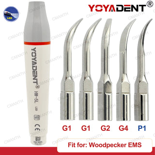 Ultrasonic Scaler Teeth Whitening Tools