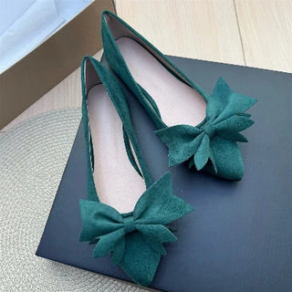 Ladies Pointed Toe Ballet Flat Shoes
