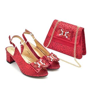 Nigerian Party Shoe & Bag Set