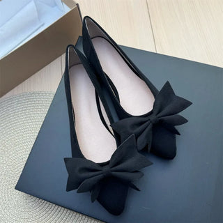 Ladies Pointed Toe Ballet Flat Shoes