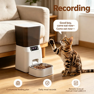 Portion Control Automatic Timed Pet Feeder