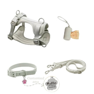 Personalized Pet Leash Pet Harness