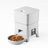 White Button Feeder