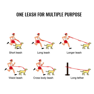 Heavy Duty Multi-function Dog Leash