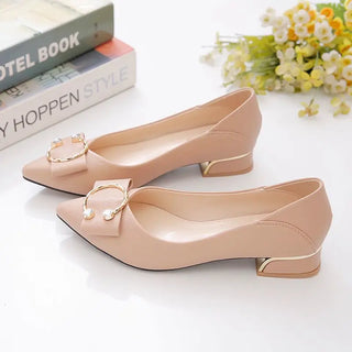 Spring and Autumn Pointed Toe Shallow Woman Pumps Low Heel Elegant Shoes for Women Korean Style High Quality Chic On Offer Shoe
