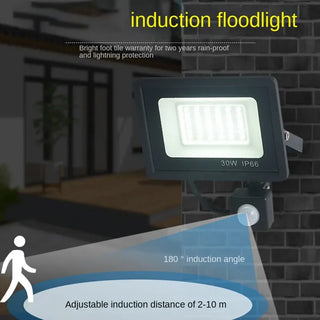 Exterior Hanging Spotlight Wall Lamp