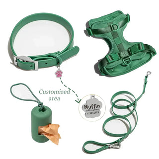 Personalized Pet Leash Pet Harness