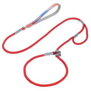 Slip Chains Pet Training Leash