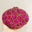 Fushia 1