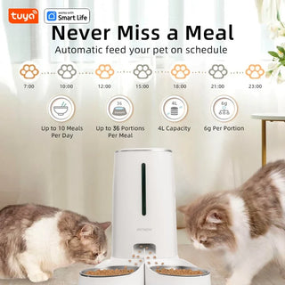 Automatic Pet Food Dispenser