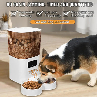 Dual Bowls Smart Pet Feeder