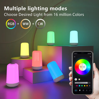 Smart Color Changing Touch Lamp