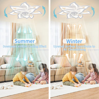 Modern RC LED Ceiling Fan Light