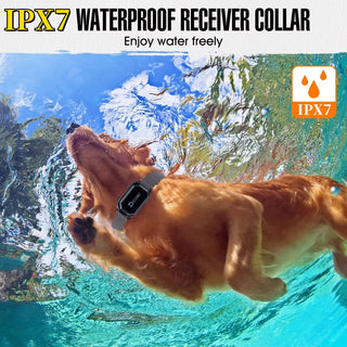 Digital RC Pet Training Collar